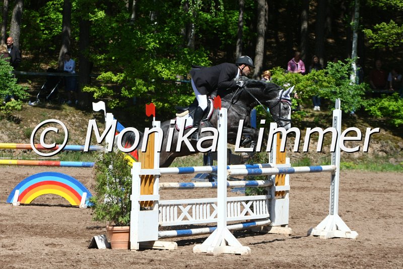 104M8488_Spring L.JPG